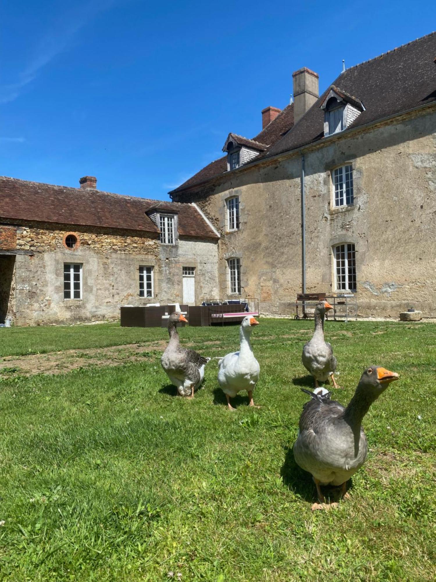 Chateau De Grandsagne Bonnat Dış mekan fotoğraf